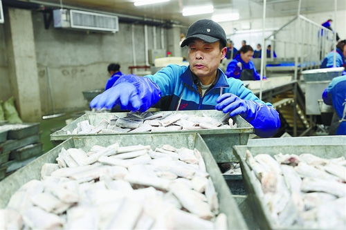 連云港規(guī)上工業(yè)企業(yè)穩(wěn)產(chǎn)增 食品經(jīng)營(yíng)助力經(jīng)濟(jì)社會(huì)發(fā)展首季開門紅