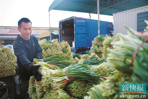 佛山南海建成消費幫扶黔貨入粵集散地 助推食品經營升級